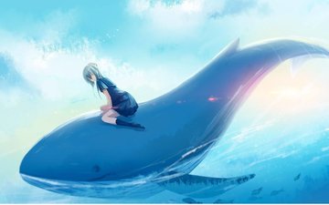鲸鱼阅读怎么样 鲸鱼阅读好用吗
